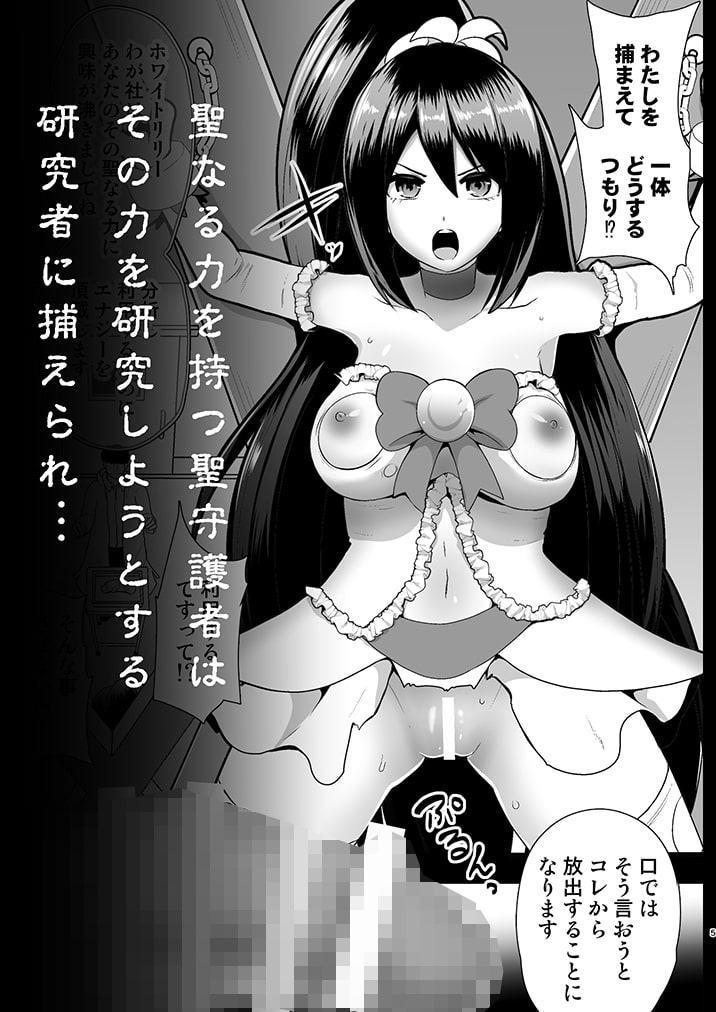 聖守護者 ホワイトリリーの失踪