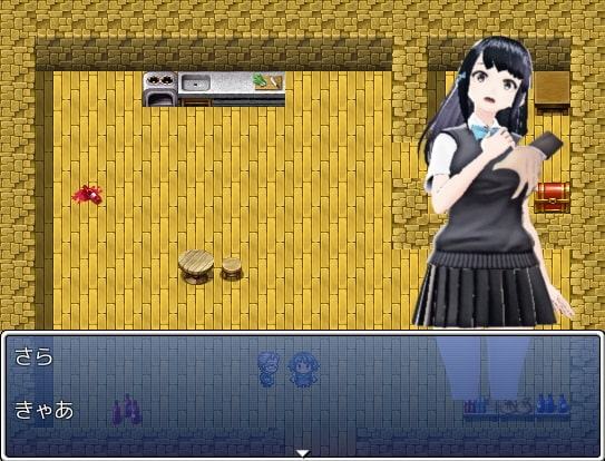 サラと痴漢の国