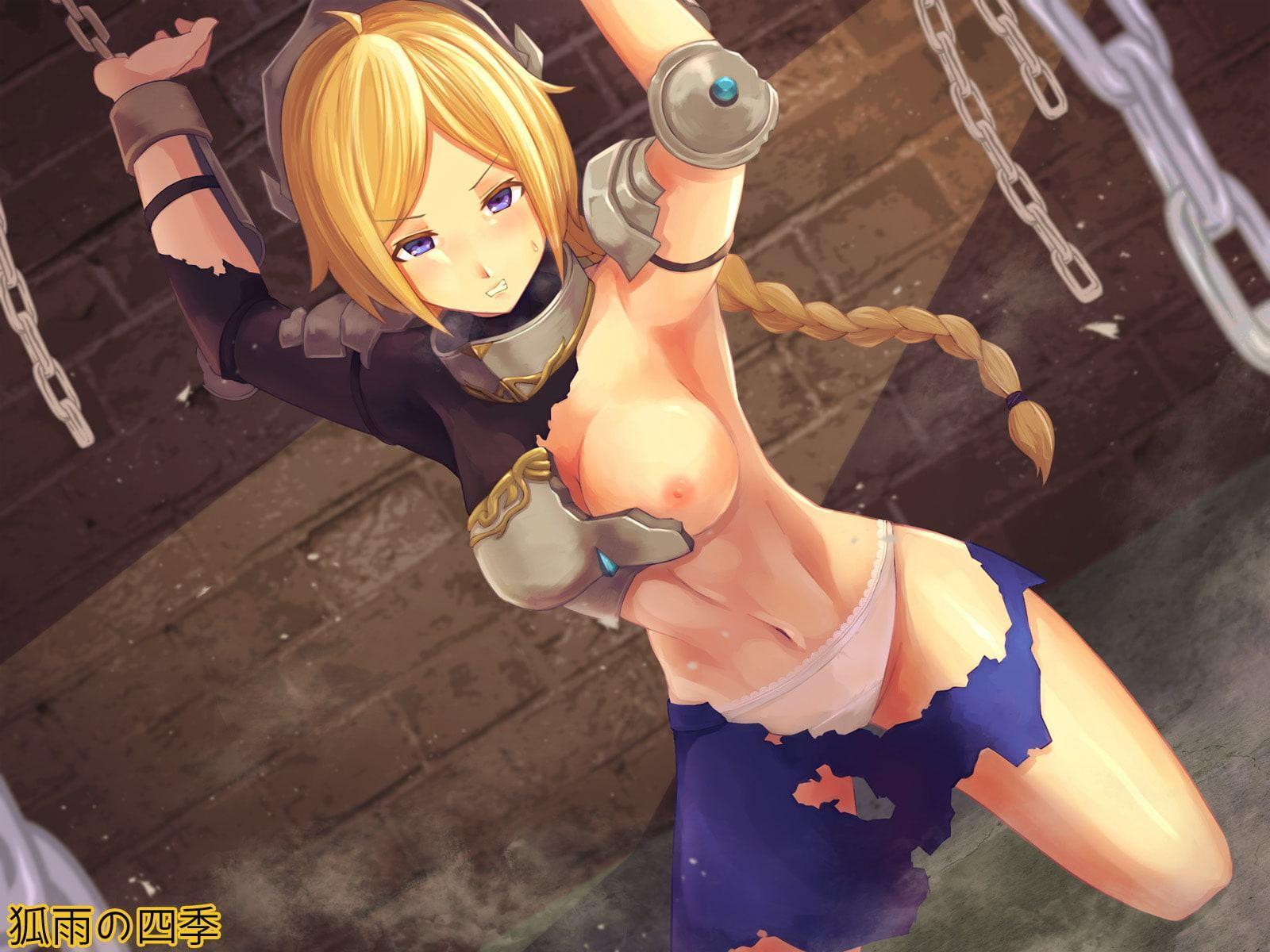 【WAVE音源同梱】女騎士拘束出産 ～乳首責め、異物挿入、膣内射精、妊娠、出産～