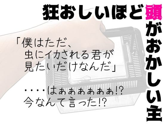 拉致した女に虫を浴びせる