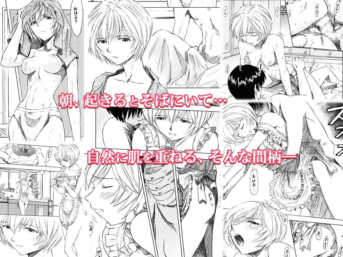 綾波・朝昼夜・深