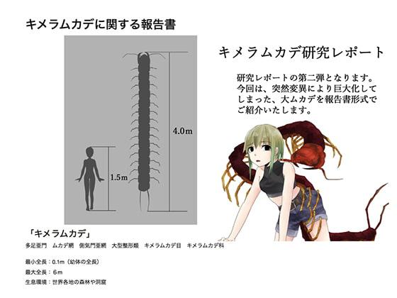 キメラムカデ研究レポート