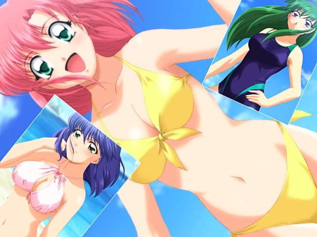 ハーレム!? 女子高生水着CG集総集編 サマーパラダイス