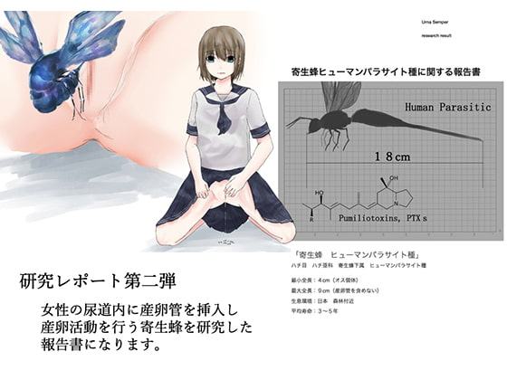 寄生蜂ヒューマンパラサイト種 研究レポート