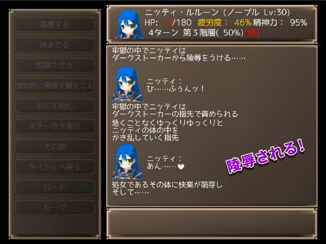 メイジズメイズ SOLO 罠に嵌められた冒険者はサキュバスに堕ちる または……for mac