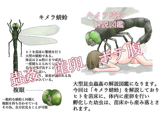 キメラ蜻蛉 解説図鑑