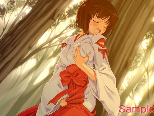 巫女乙女洗脳調教 ムービー版