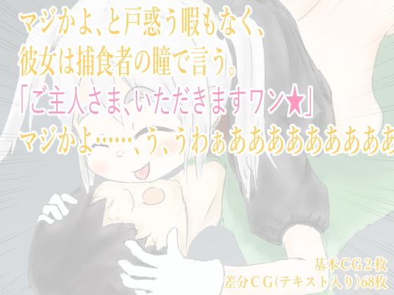 イヌと暮らす毎日を