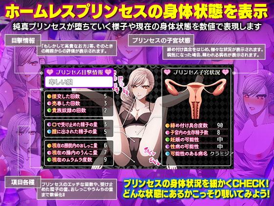 ホームレスに身を落としたプリンセスと過ごす ゴミ溜め同棲生活!