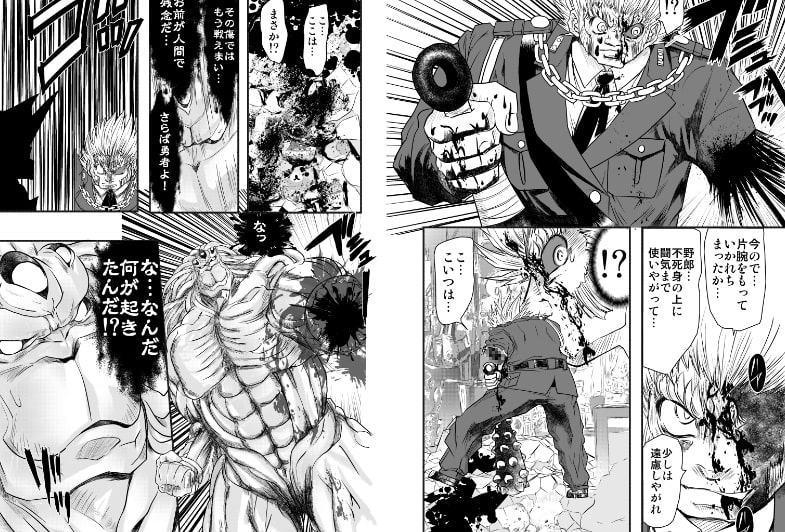 シャレーダーD09