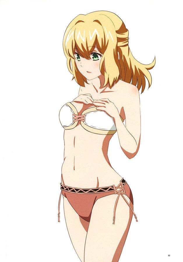 ゼ○ブレイド2水着イラスト本