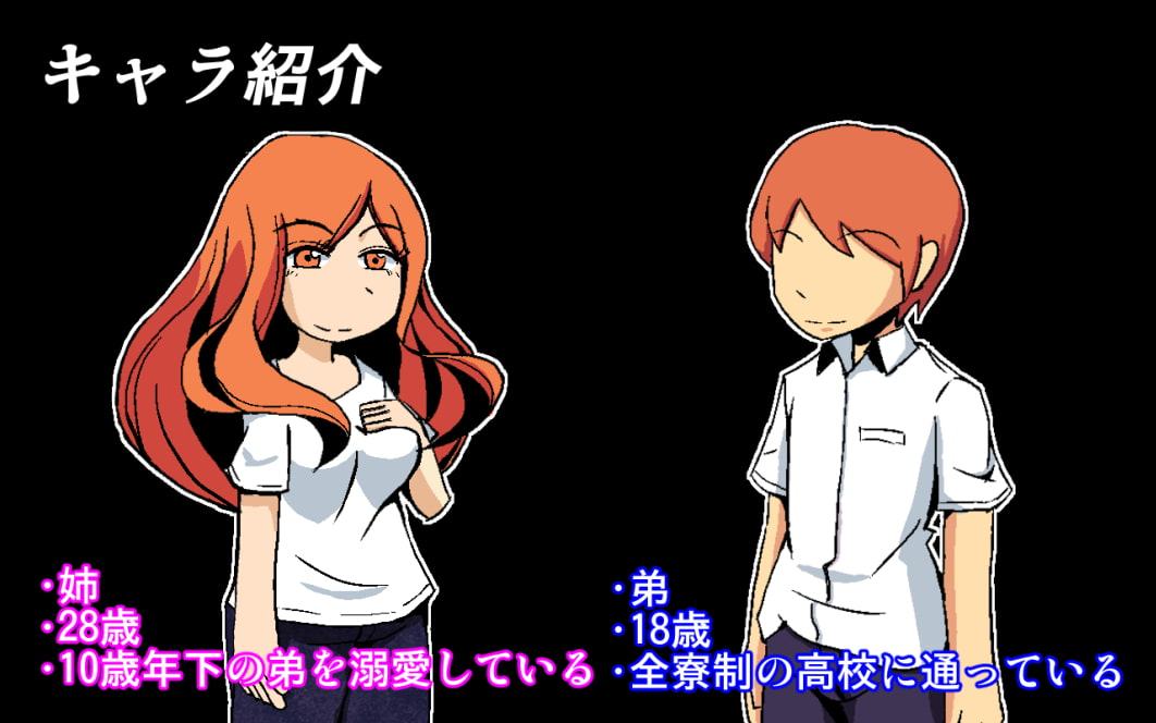 久しぶりに帰省したら姉に夜這いされて逆レイプされた話