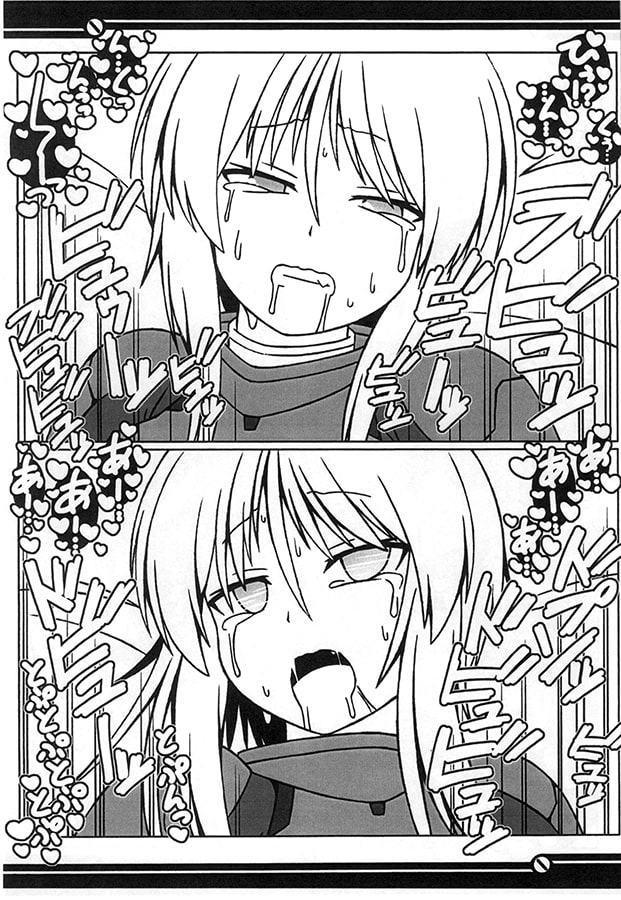 PLE PLE PROTCOL Drei