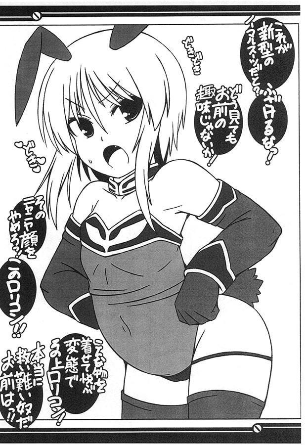 PLE PLE PROTCOL Drei