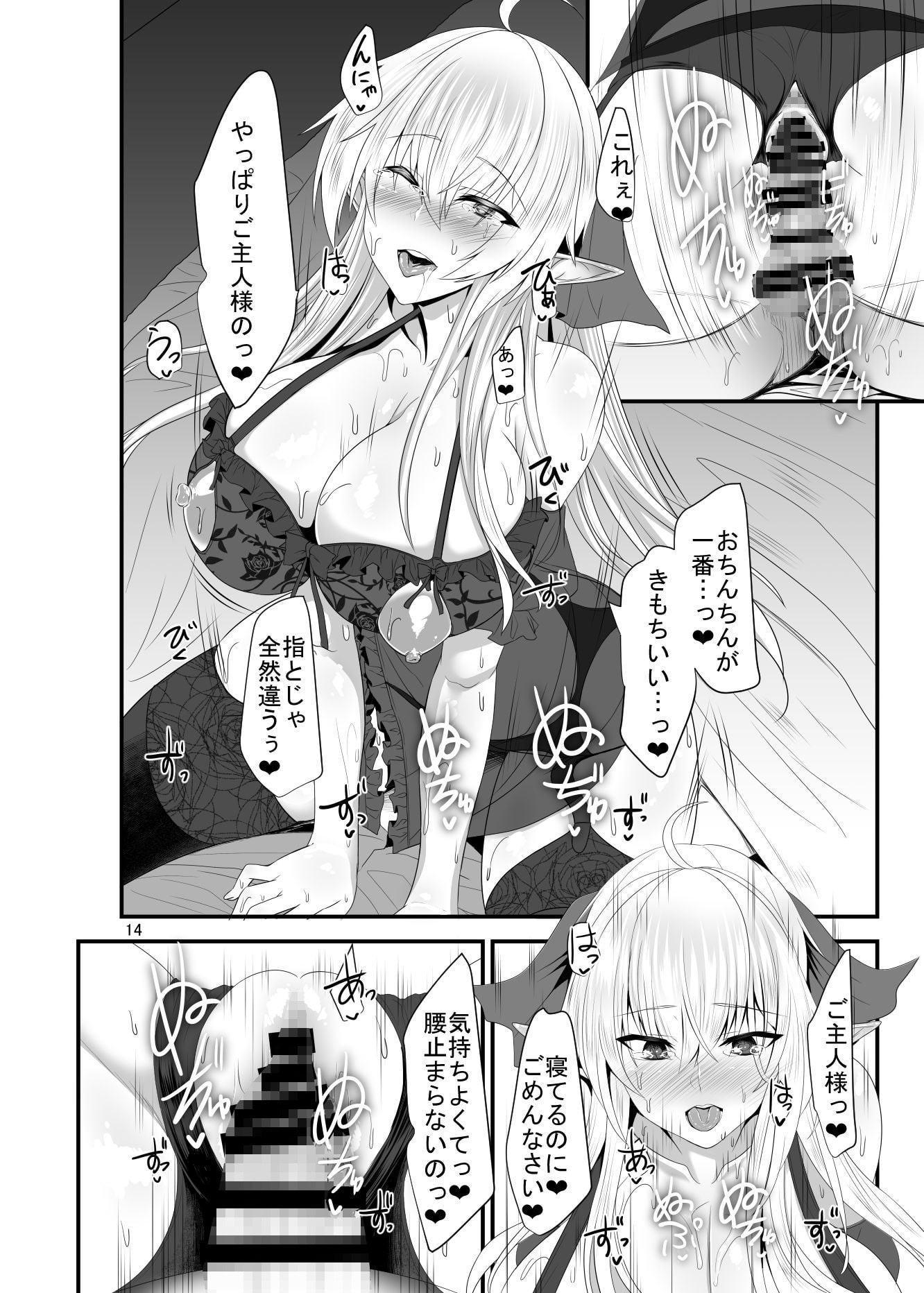 すきすきご主人様 ―エルフさんにえっちな下着で夜這いされたい―