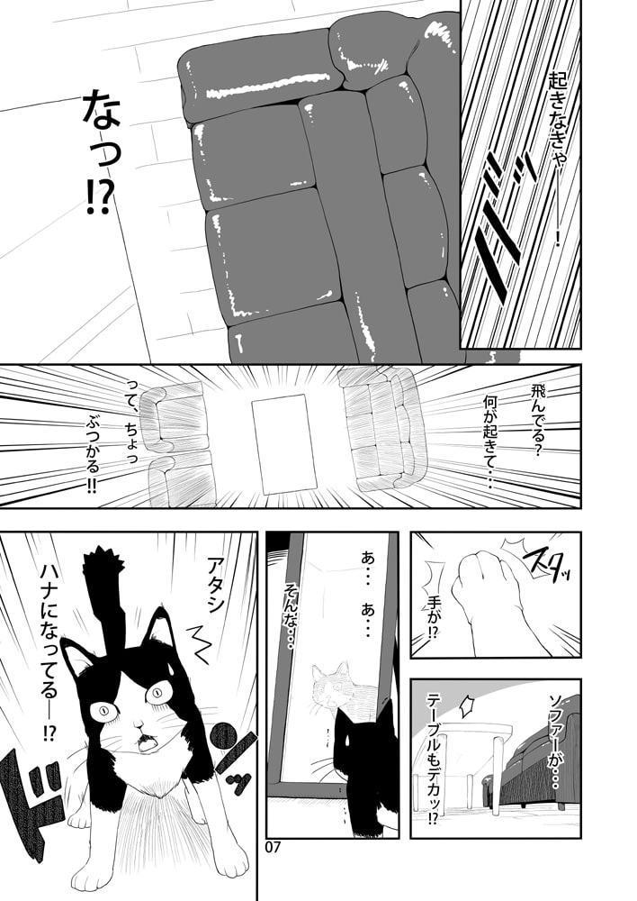 敷波と鎮守府のネコ