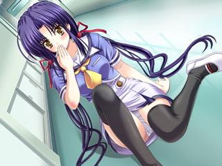 ねこマタ くろねこ編 ムービー版