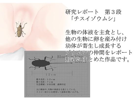 研究レポート チスイゾウムシ編
