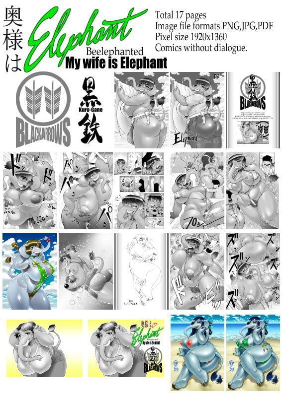 奥様はエレファント