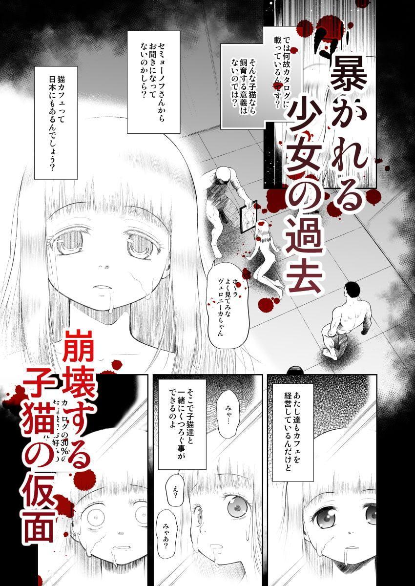 ペットショップの子猫