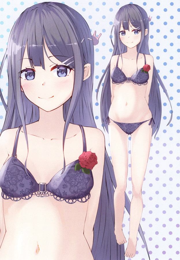 青春ブタ野郎はLingerie Girlsの夢を見ない