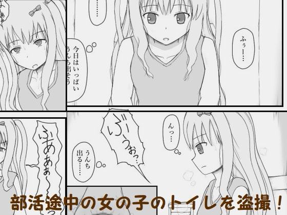女友達のトイレ盗撮3人目