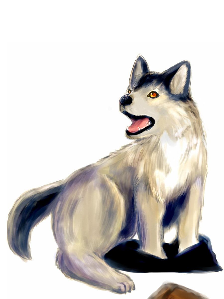 ときどき獣化少年