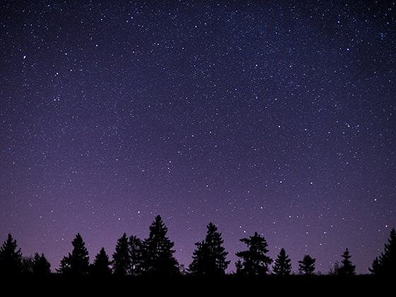 【声なし】6種類の耳マッサージ / SR3D