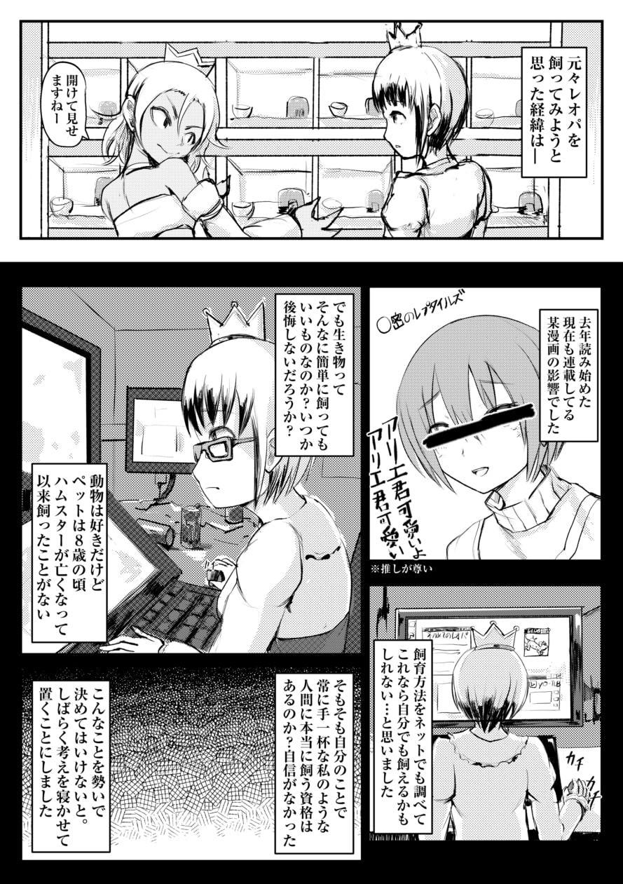 とらまるくん成長日記-出会い編-