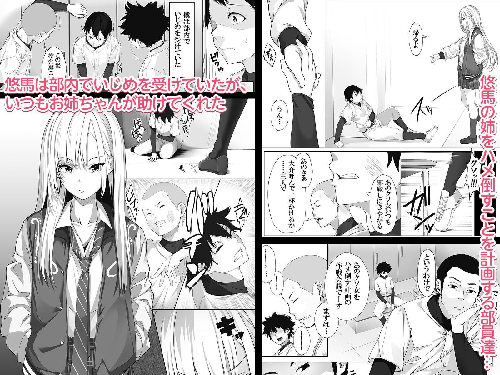 少し怖いけど大好きなお姉ちゃんが僕の為に犯された日の話