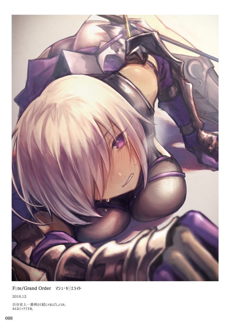 Angraecum めふぃすとアートワークス 2012～2019