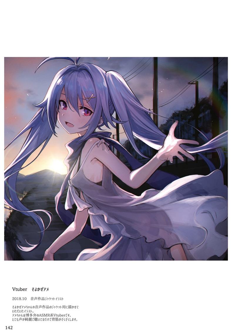 Angraecum めふぃすとアートワークス 2012～2019