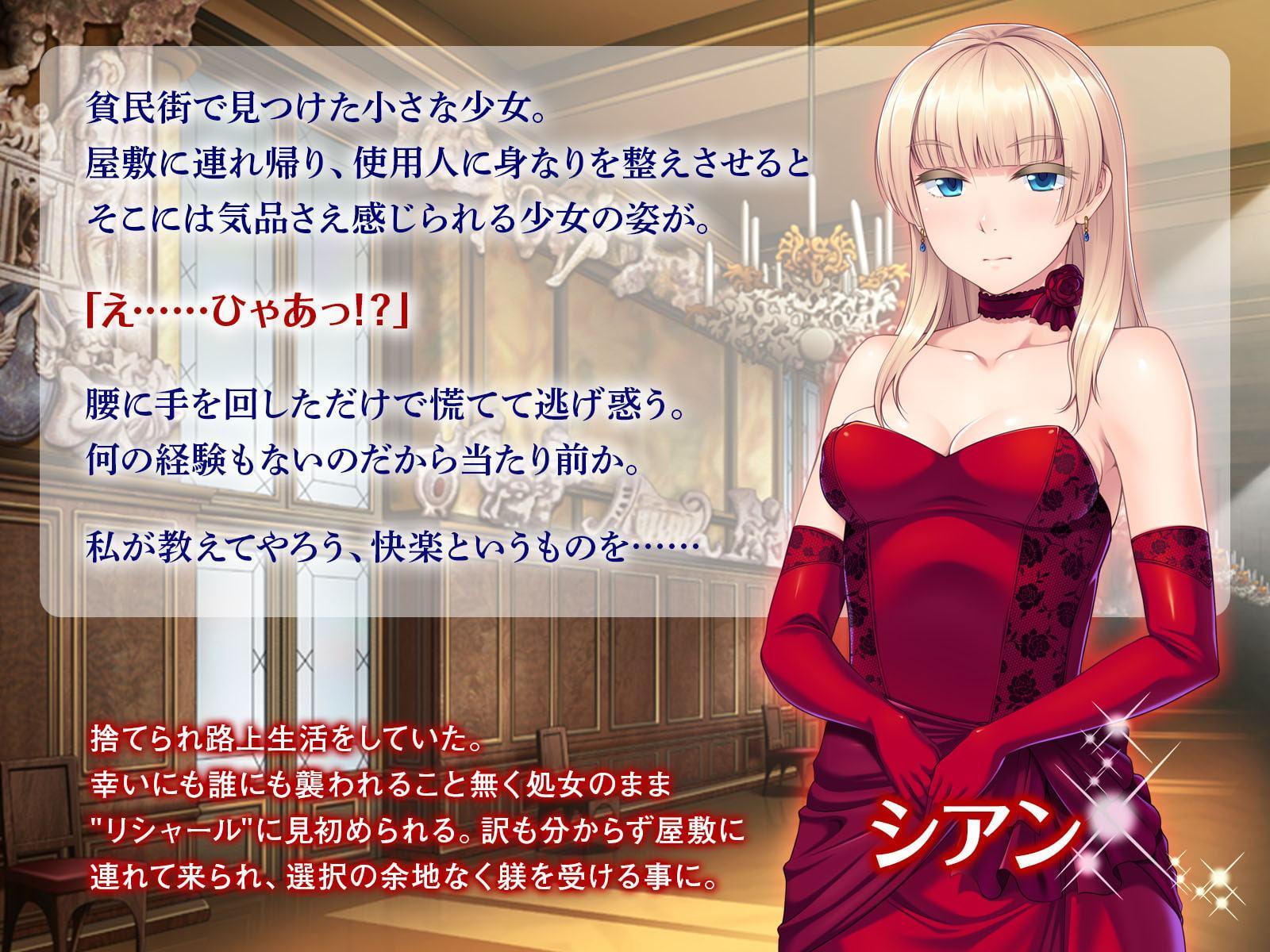 淑女性調教 ～濡れたアソコに白濁のご褒美を～