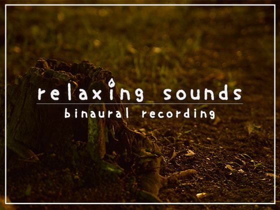 眠れない夜、最後に聴く音 #08