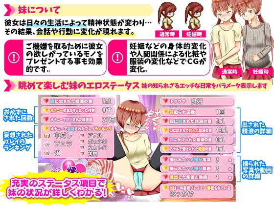チャラ男に欺されて変貌していく我が妹をオナニーしながら見守る僕