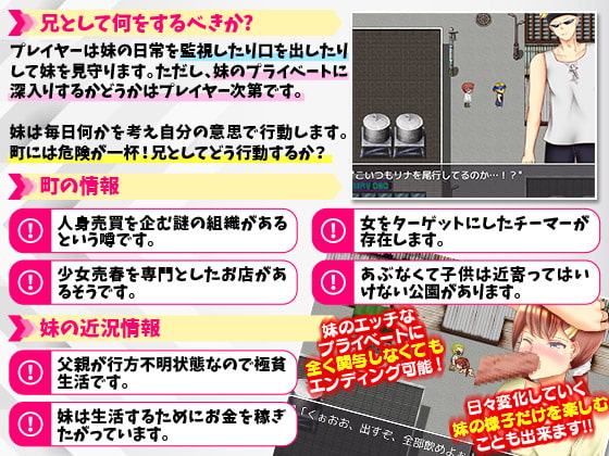 チャラ男に欺されて変貌していく我が妹をオナニーしながら見守る僕