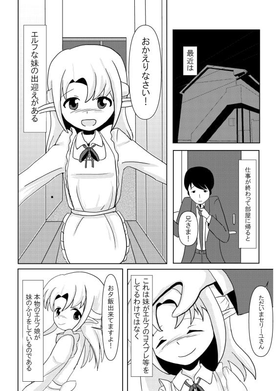 妹エルフの掟