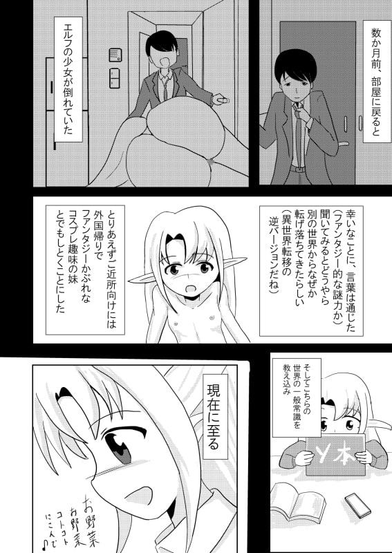 妹エルフの掟