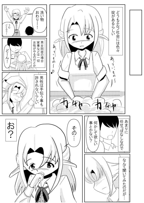 妹エルフの掟