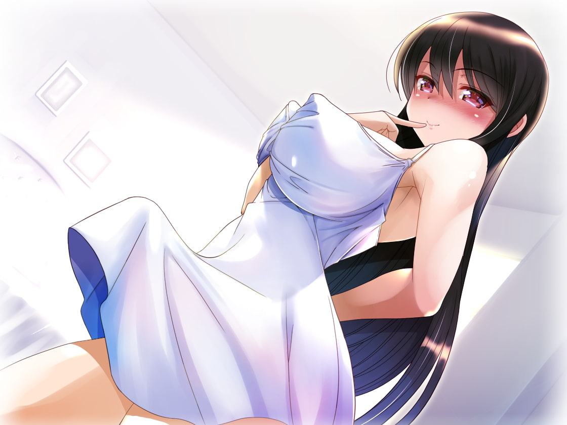 ふたなり風俗体験記～甘責めお姉さんの逆アナル調教～