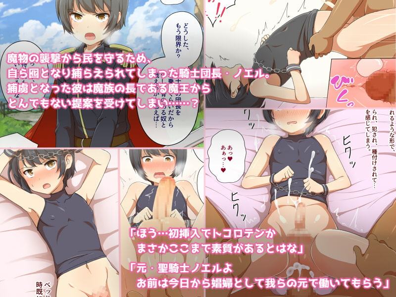 メスに堕とされた誇り-聖騎士ノエルの受難-