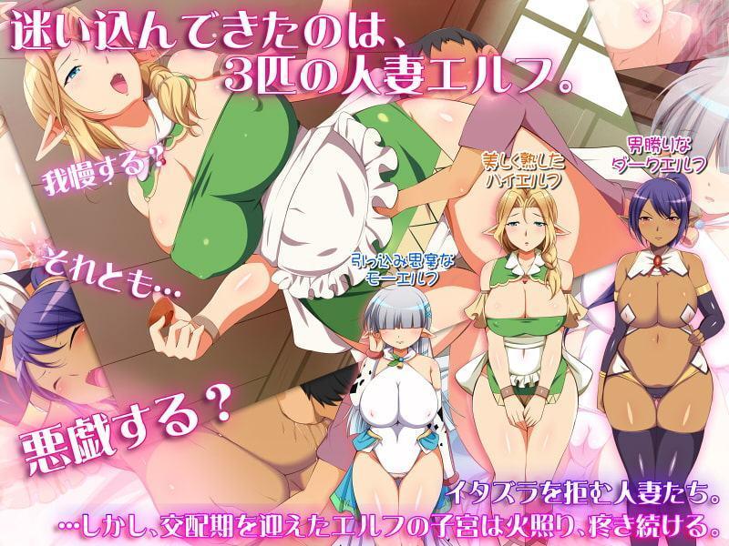 ボクと乳妻エルフたち -嫌がるメスと交尾するボク!-