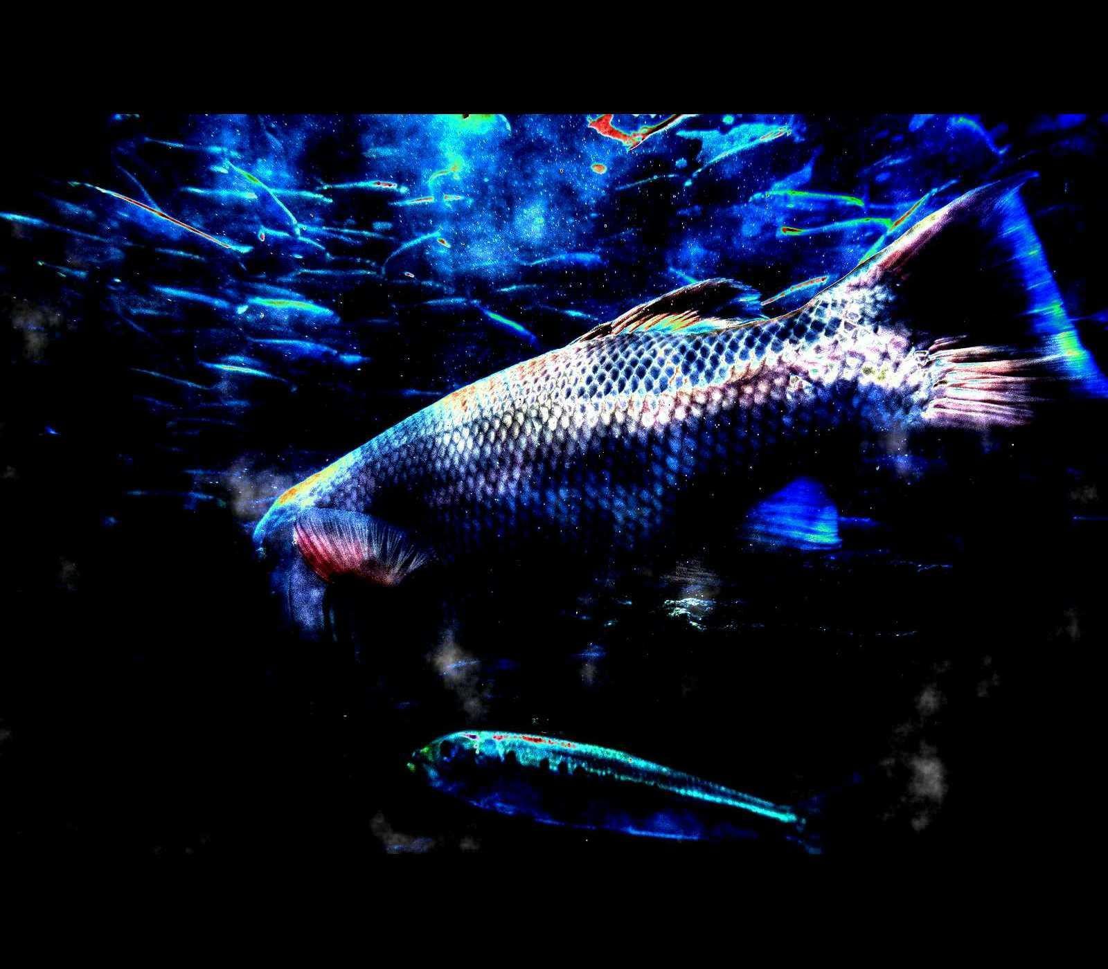 BGM素材集4 : 界遊