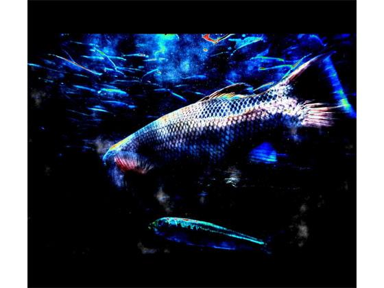 BGM素材集4 : 界遊