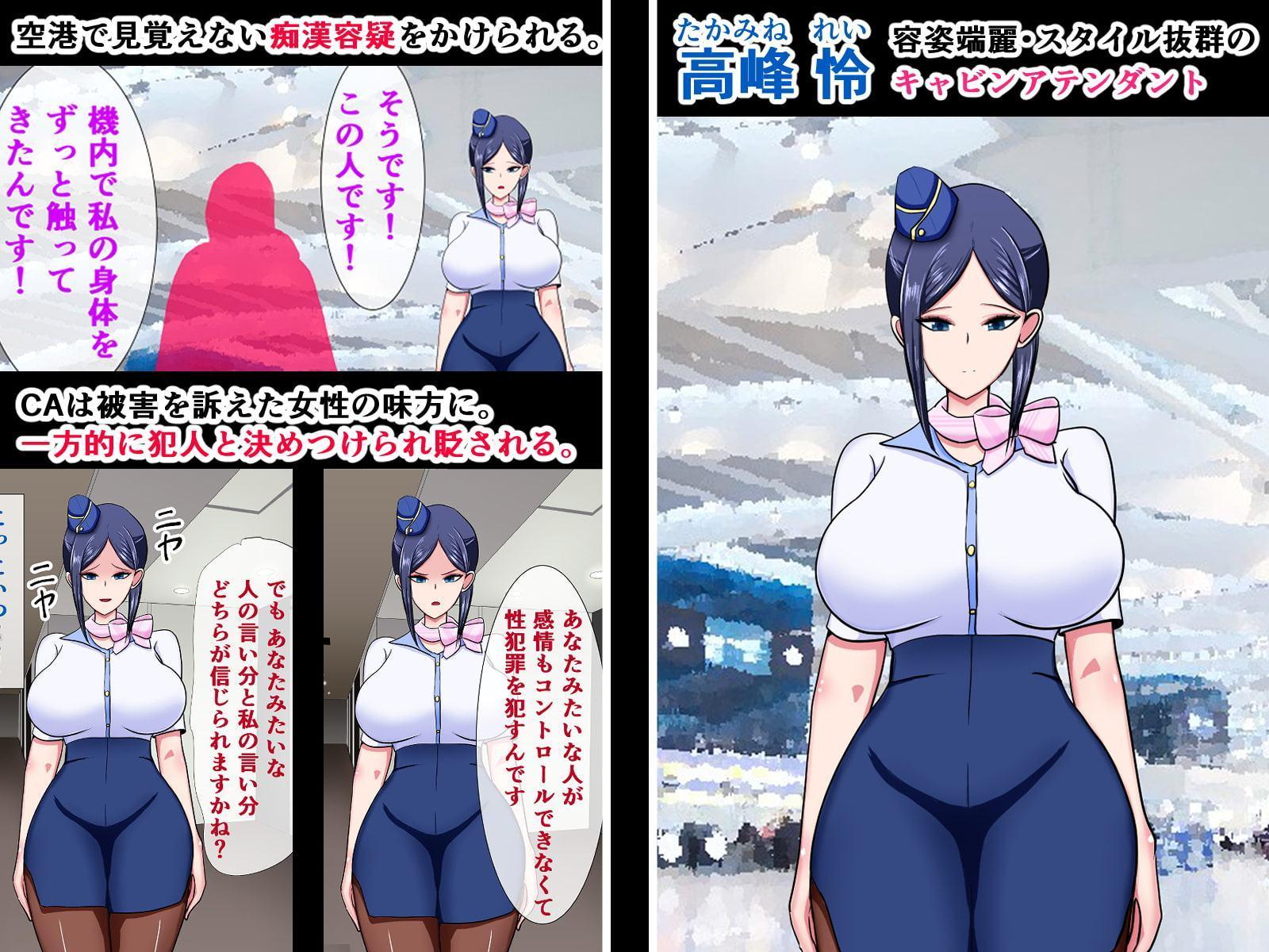 高飛車CAお仕置きックス～謝罪しても許されない報復制裁種付交尾～