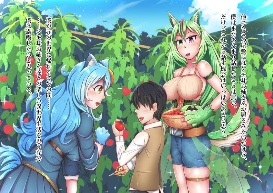 僕のケモ耳お姉さん!!2～異世界でケモ耳お姉さん達が甘えさせてくれる……!?～