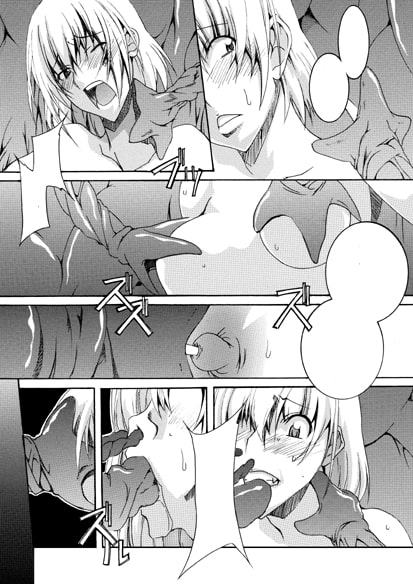 聖騎士改造奴隷