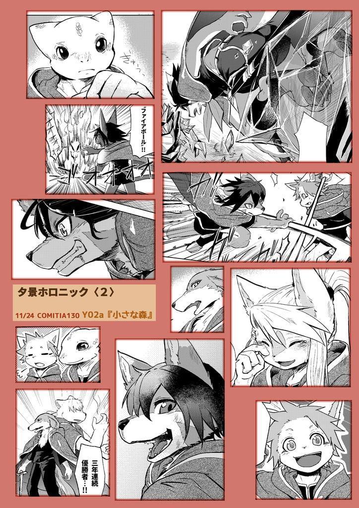 夕景ホロニック<2>