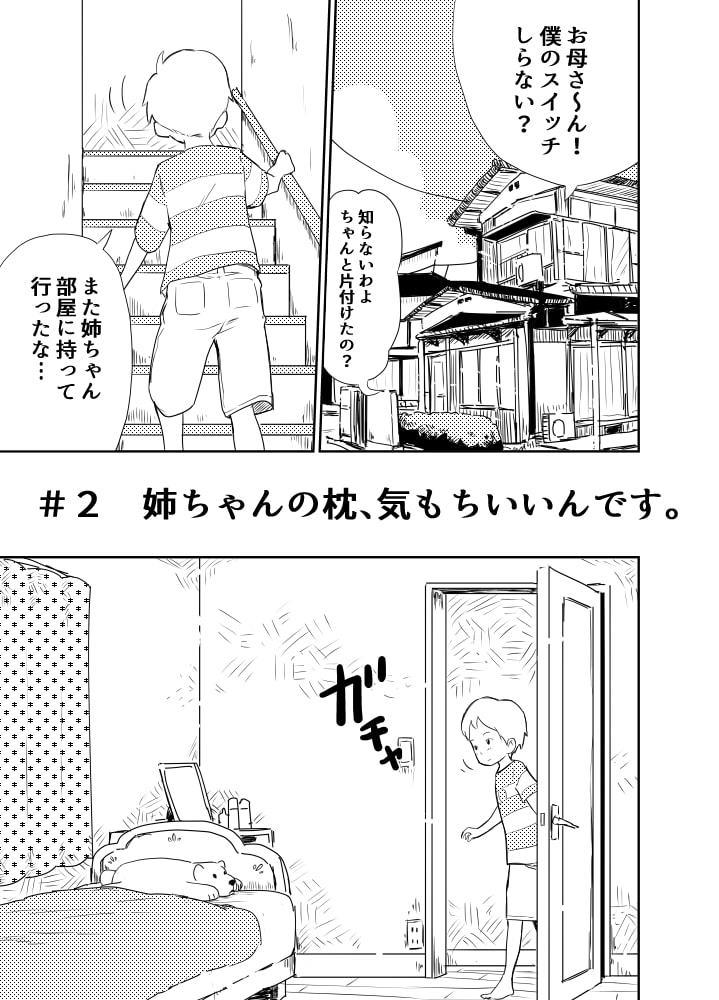 ショタコンの姉ちゃんは好きですか?