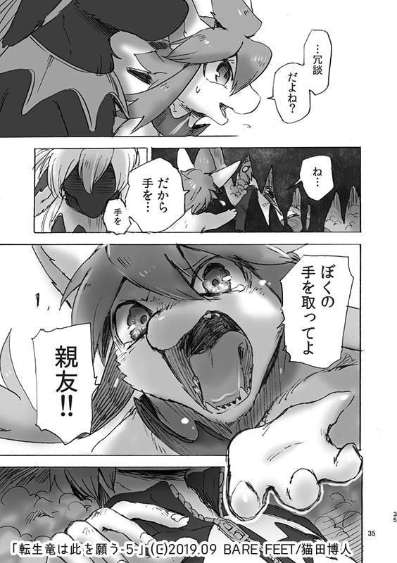 転生竜は此を願う-5-(プレアデスの両脚・番外編)